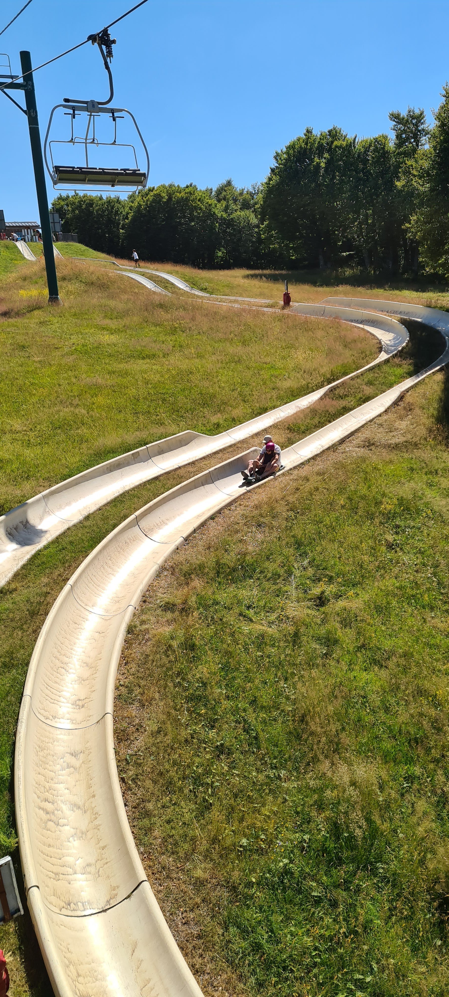 Luge d'été Col de la Schlucht